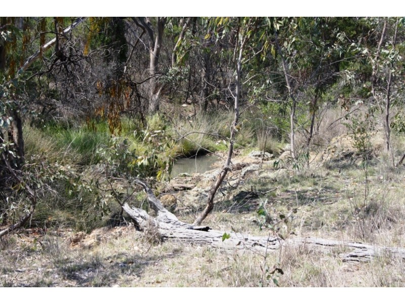 Lot 18 Columba Rd, Gore QLD 4352