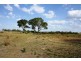 605 Canningvale Rd, Warwick QLD 4370