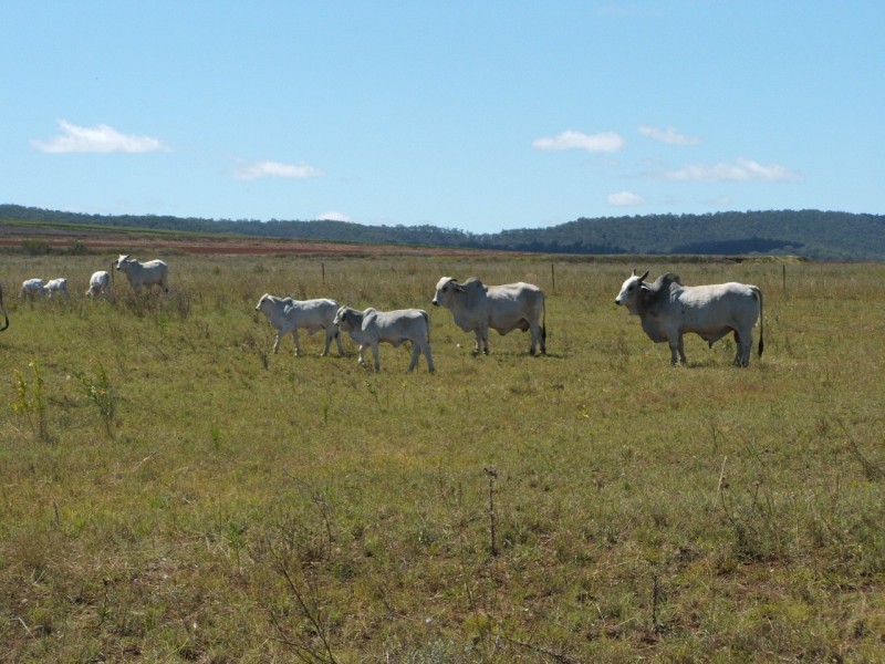 Lot 1 and 3 Clifton/Gatton Rd, Headington Hill QLD 4361
