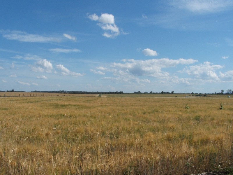 Lot 4 Tannymorel Rd, Tannymorel QLD 4372