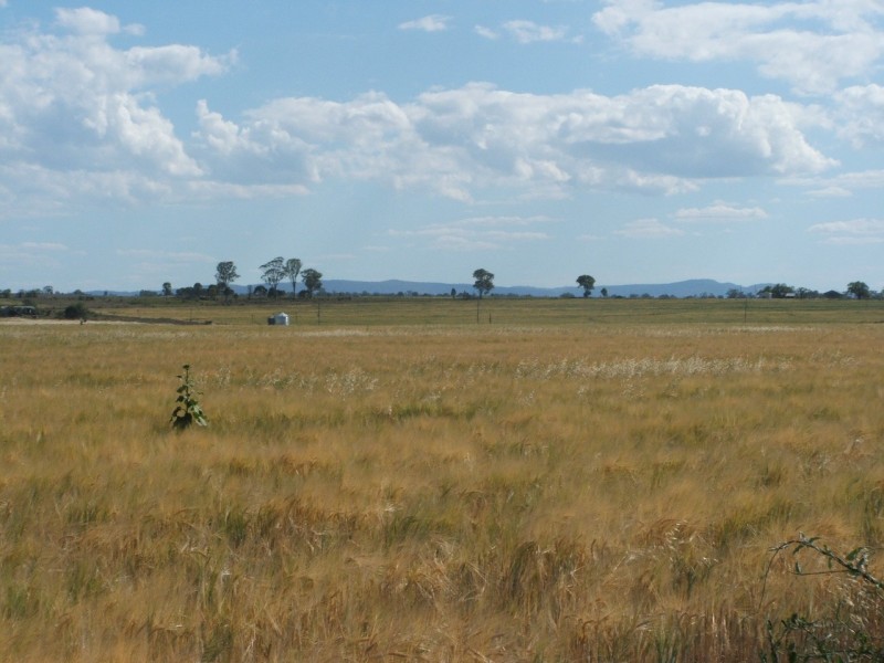 Lot 4 Tannymorel Rd, Tannymorel QLD 4372
