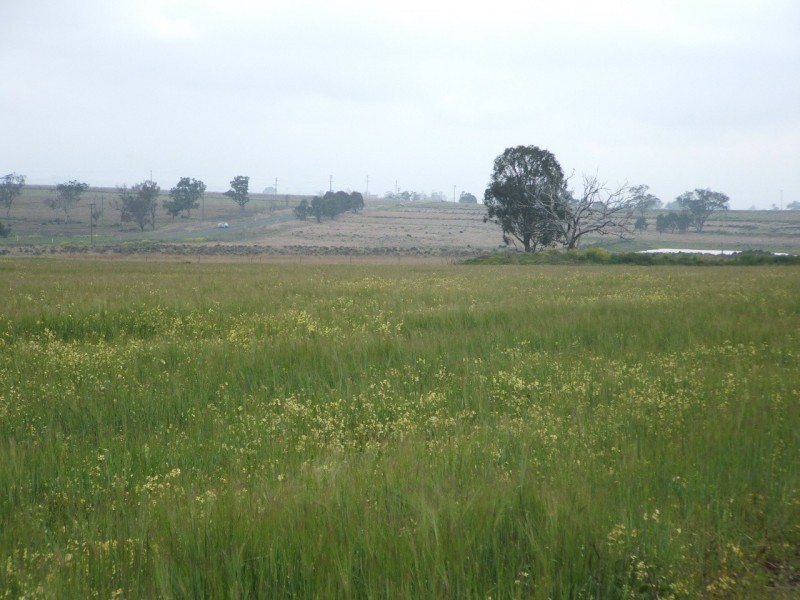 Lot 7 Warwick Killarney Rd, Murrays Bridge QLD 4370