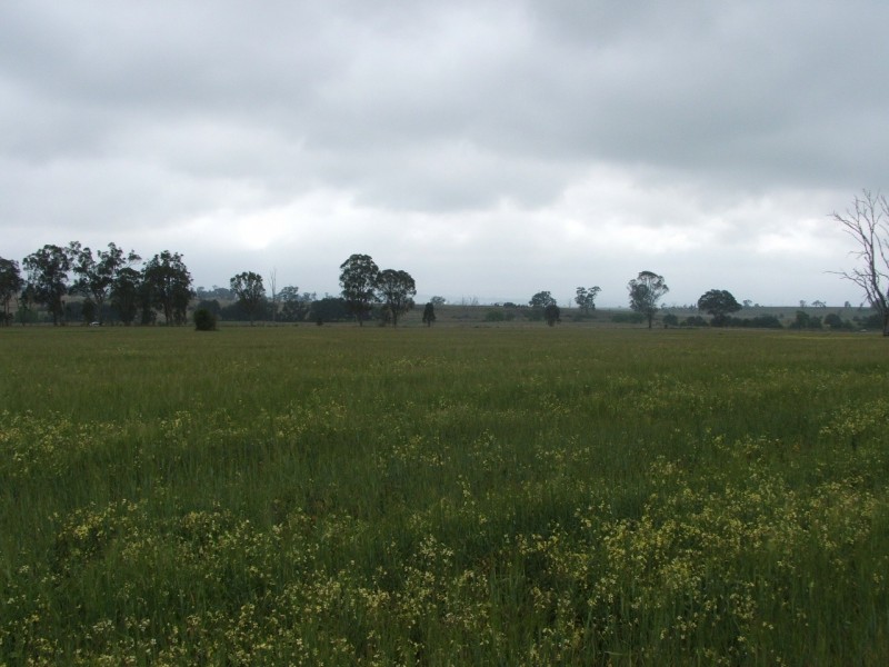 Lot 7 Warwick Killarney Rd, Murrays Bridge QLD 4370