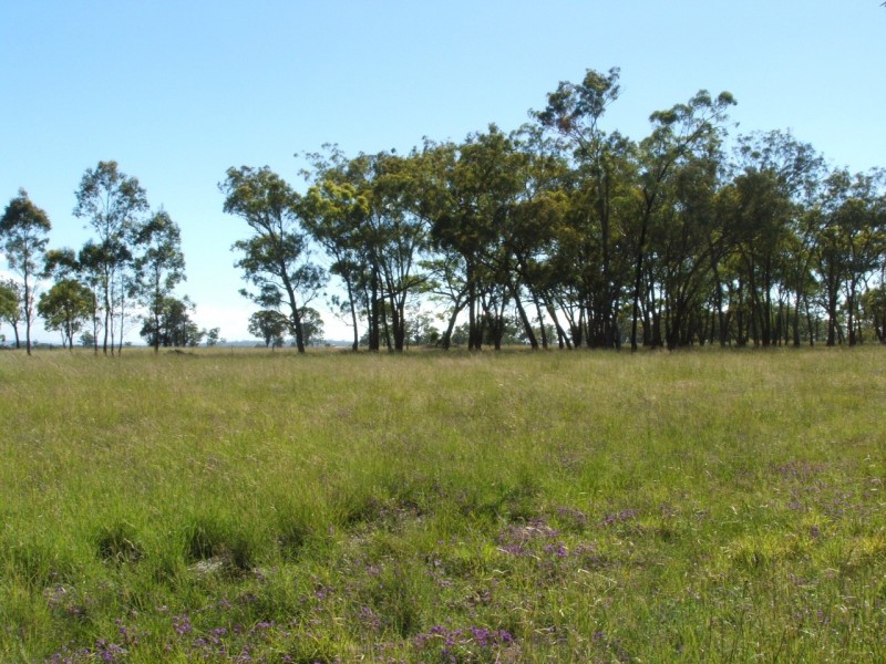 Lot 7 Montrose Lane, Greymare QLD 4370