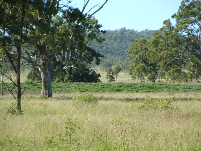 Lot 7 Montrose Lane, Greymare QLD 4370