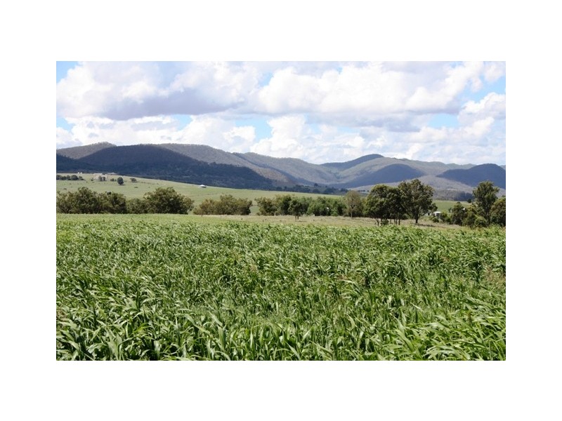 Lot 3 Warwick Yangan Road, Warwick QLD 4370