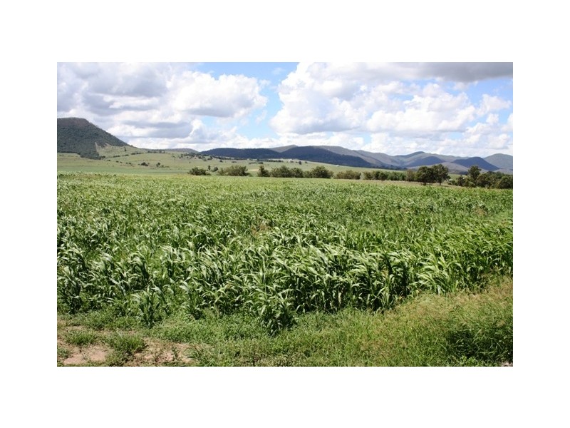 Lot 3 Warwick Yangan Road, Warwick QLD 4370