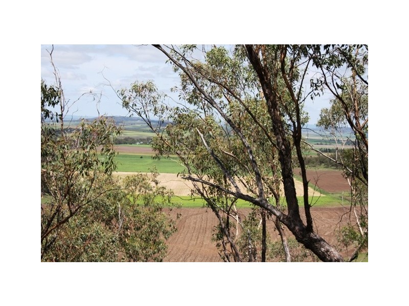 Lot 1 Mauchs Road, Upper Freestone QLD 4370