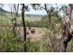 Lot 1 Mauchs Road, Upper Freestone QLD 4370
