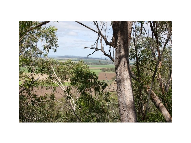 Lot 1 Mauchs Road, Upper Freestone QLD 4370