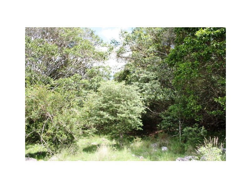 Lot 55 Mauchs Road, Upper Freestone QLD 4370