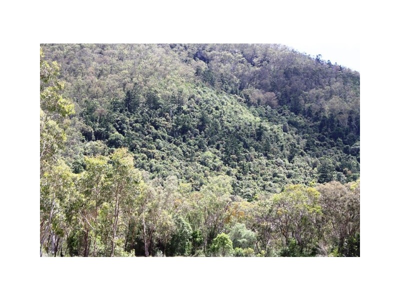 Lot 55 Mauchs Road, Upper Freestone QLD 4370