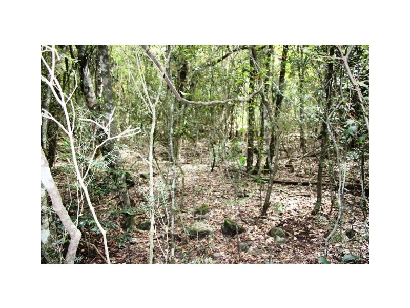 Lot 55 Mauchs Road, Upper Freestone QLD 4370
