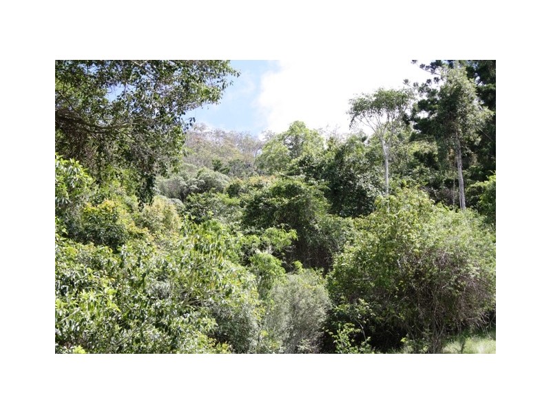 Lot 55 Mauchs Road, Upper Freestone QLD 4370