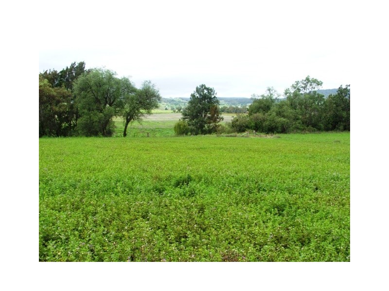 534 Swanfels Road, Swanfels, Warwick QLD 4370