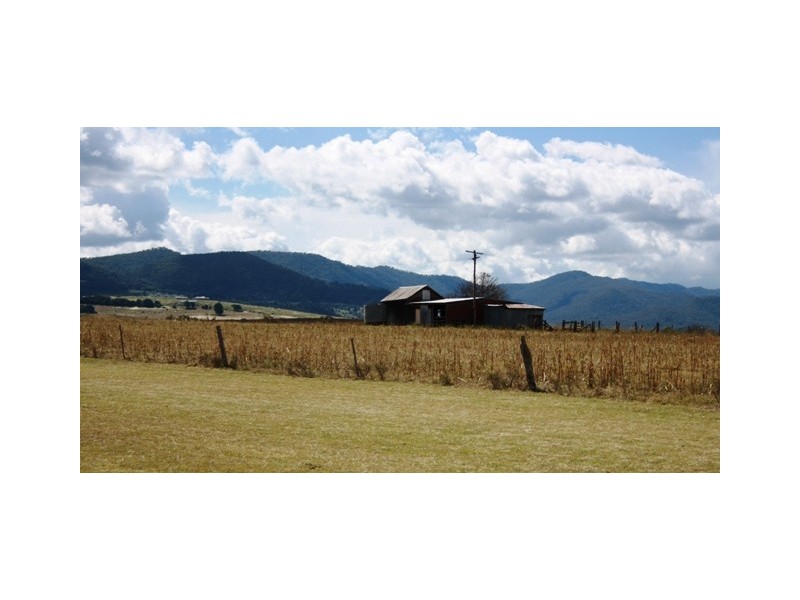 1613 Warwick Yangan Road, Yangan QLD 4371