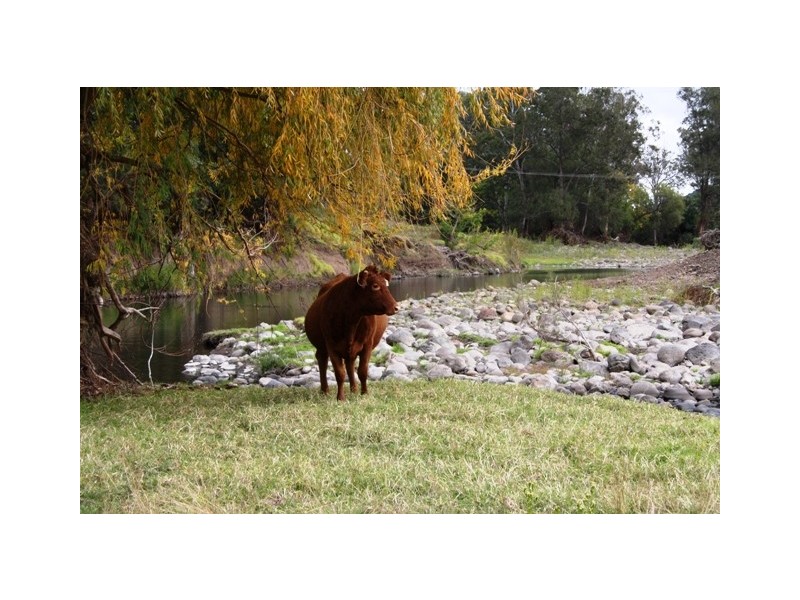 377 Emu Creek Rd, Emu Vale QLD 4371