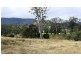 377 Emu Creek Rd, Emu Vale QLD 4371
