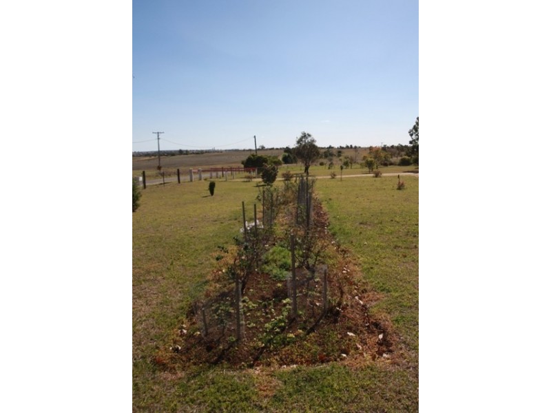 699 Mt Marshall Road, Mount Marshall QLD 4362