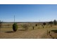 699 Mt Marshall Road, Mount Marshall QLD 4362