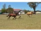 991 Rockland Rd, Leslie Dam QLD 4370