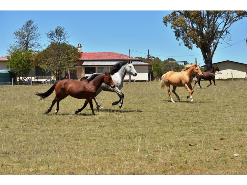 991 Rockland Rd, Leslie Dam QLD 4370