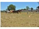 991 Rockland Rd, Leslie Dam QLD 4370
