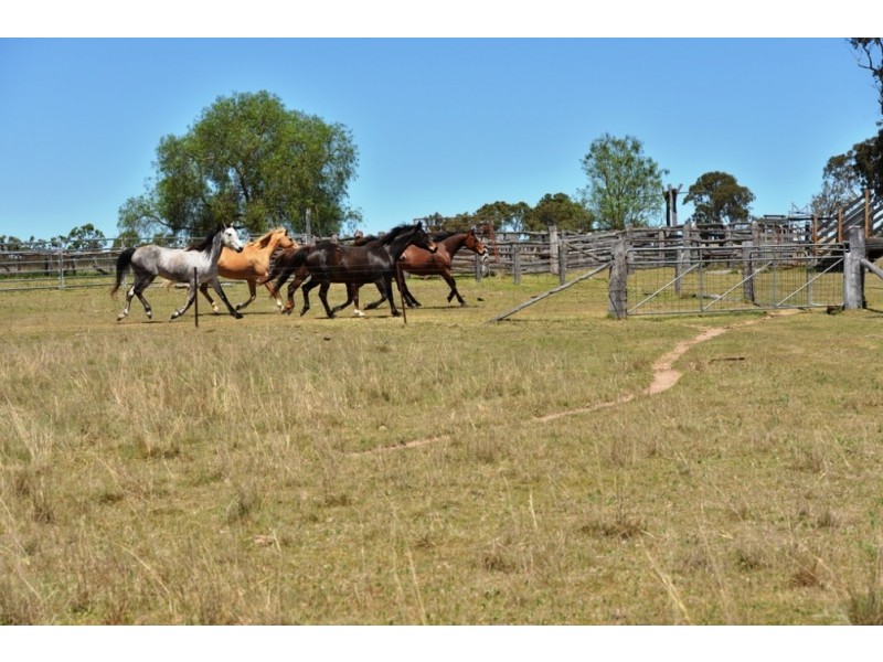 991 Rockland Rd, Leslie Dam QLD 4370