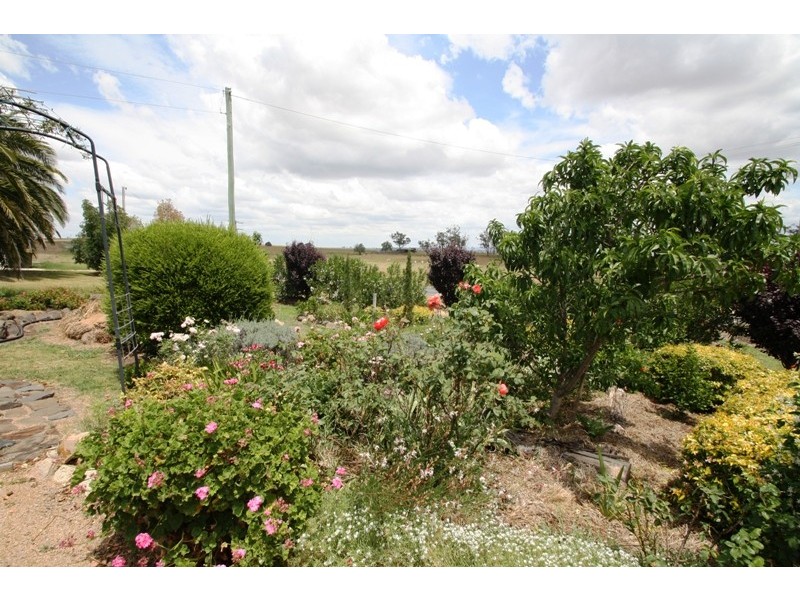 1423 Yangan Killarney Road, Tannymorel QLD 4372