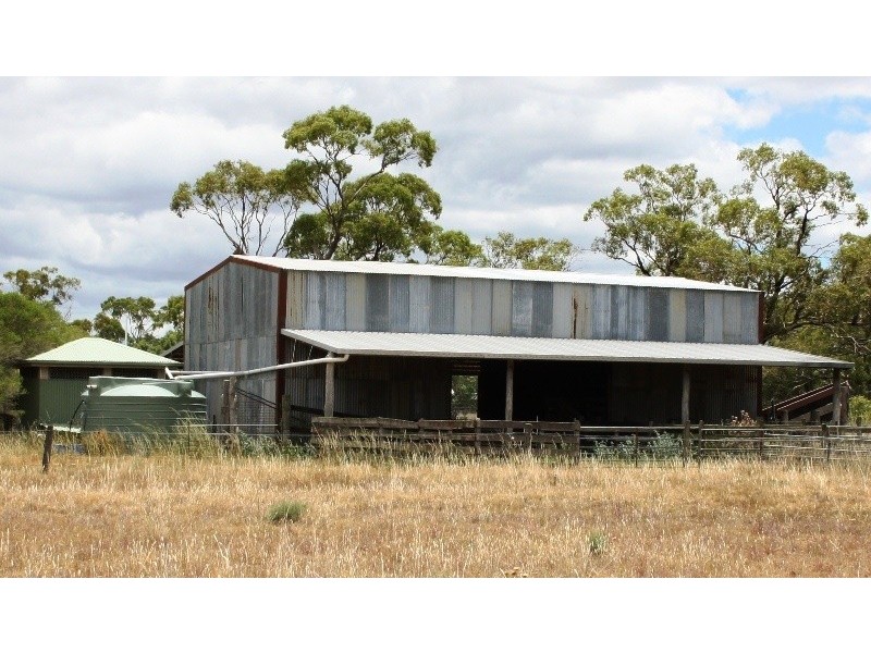 282 Wiedmans Road, Warwick QLD 4370