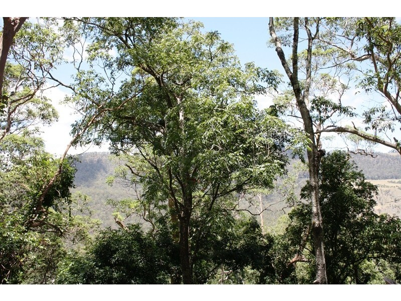Lot 23 Top Swanfels Rd, Swanfels QLD 4371