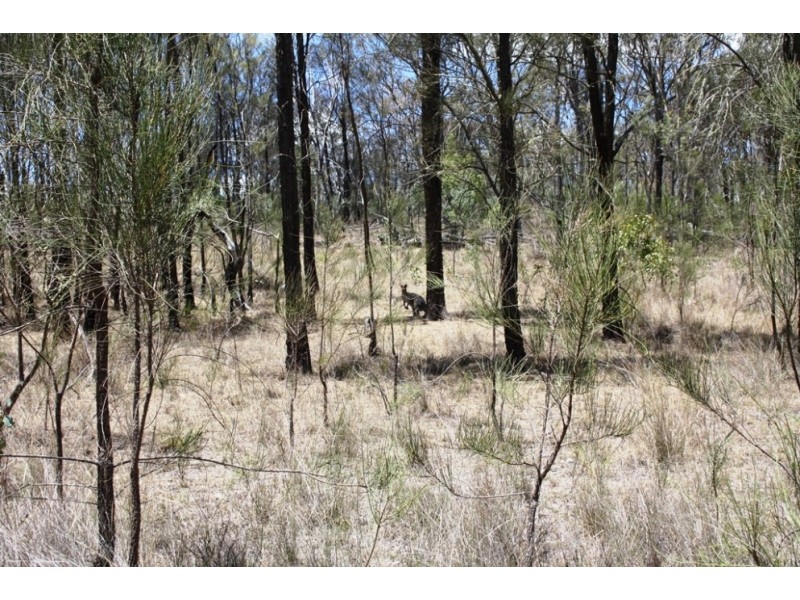 92 Coochie Rd, Dalveen QLD 4374