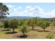 1128 Goomburra Rd, Goomburra QLD 4362