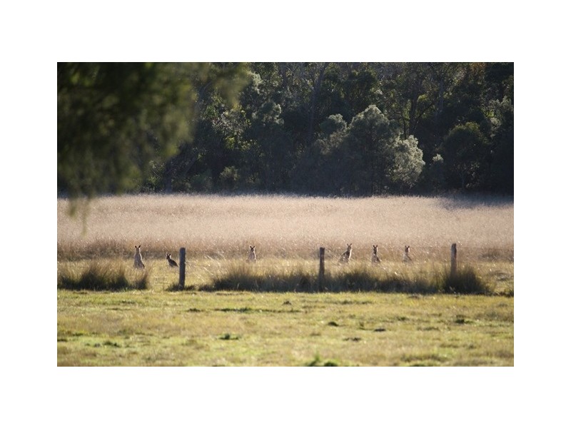 135 Ridge Rd, The Summit QLD 4377