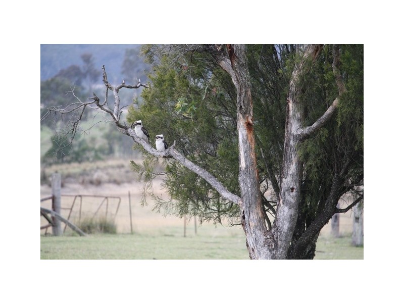 135 Ridge Rd, The Summit QLD 4377