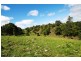 Lot 1 and 2 Coopers Gully Rd, Yangan QLD 4371
