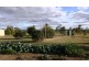 1153 Warwick Yangan Rd, Warwick QLD 4370