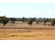 Lot 9, 10 and 11 Rockdale Rd, Karara QLD 4352