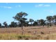 Lot 9, 10 and 11 Rockdale Rd, Karara QLD 4352