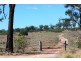 Lot 9, 10 and 11 Rockdale Rd, Karara QLD 4352