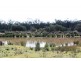 Lot 9, 10 and 11 Rockdale Rd, Karara QLD 4352