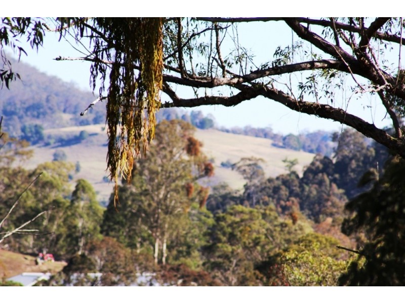 1003 Condamine River Rd, Killarney QLD 4373