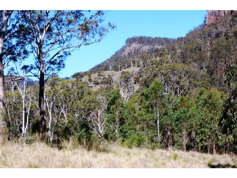 1003 Condamine River Rd, Killarney QLD 4373