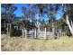 1003 Condamine River Rd, Killarney QLD 4373