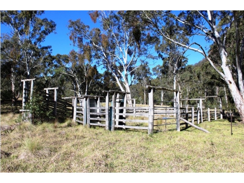 1003 Condamine River Rd, Killarney QLD 4373