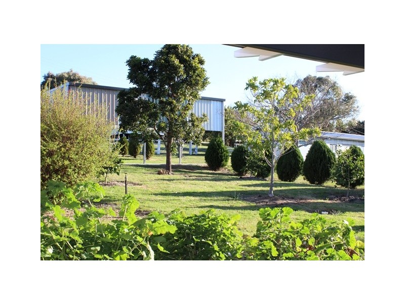 38 Pine St, Killarney QLD 4373