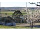 38 Pine St, Killarney QLD 4373