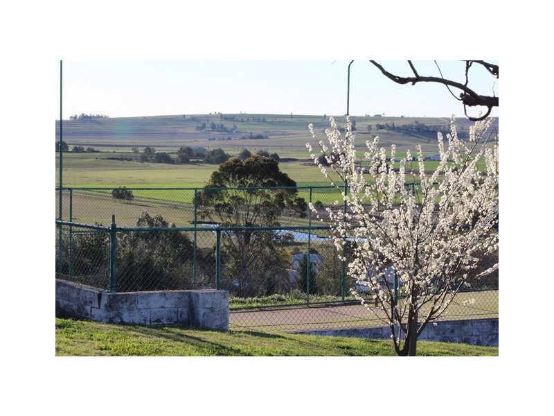 38 Pine St, Killarney QLD 4373