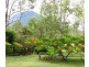 146 Charlwood Road, Aratula QLD 4309