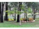 146 Charlwood Road, Aratula QLD 4309